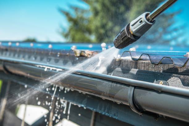 Best Roof Power Washing Services  in Niles, MI