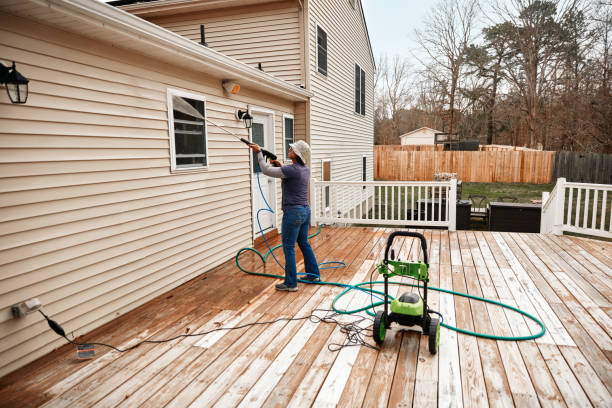 Best Deck Cleaning Services  in Niles, MI