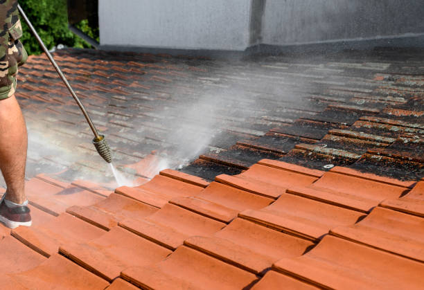 Best Deck Pressure Washing  in Niles, MI