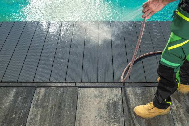 Best House Pressure Washing  in Niles, MI