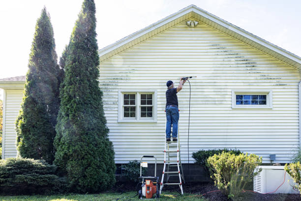 Best Concrete Pressure Washing  in Niles, MI
