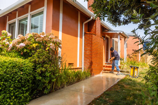 Best Affordable Pressure Washing  in Niles, MI