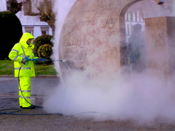 Best Affordable Power Washing  in Niles, MI