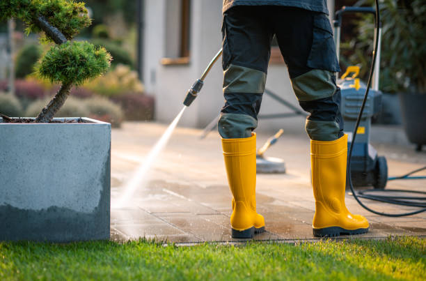 Best Commercial Pressure Washing  in Niles, MI